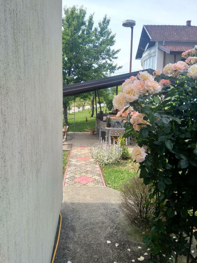 Big Mama'S Apartments 科尼茨 外观 照片